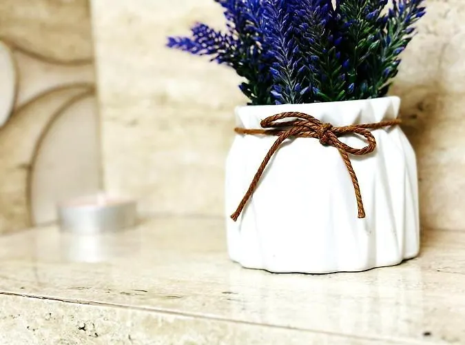 شقة & Studiouri Jolie