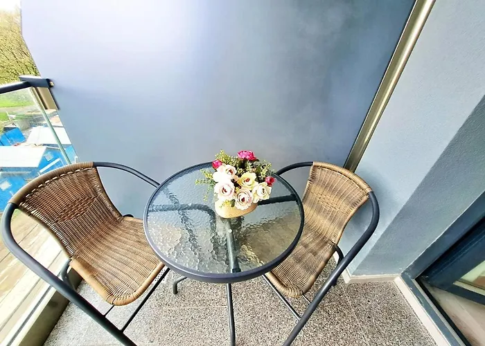 & Studiouri Jolie 데포리노드