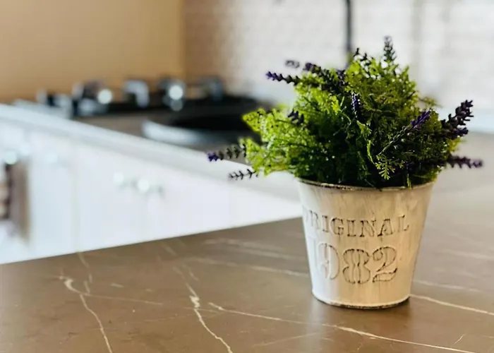 & Studiouri Jolie شقة