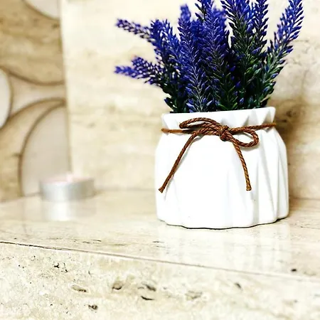 Apartment & Studiouri Jolie